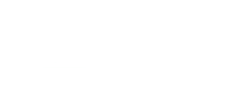 The New School's Center for New York City Affairs
