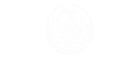 New York City Council Brooklyn Delegation